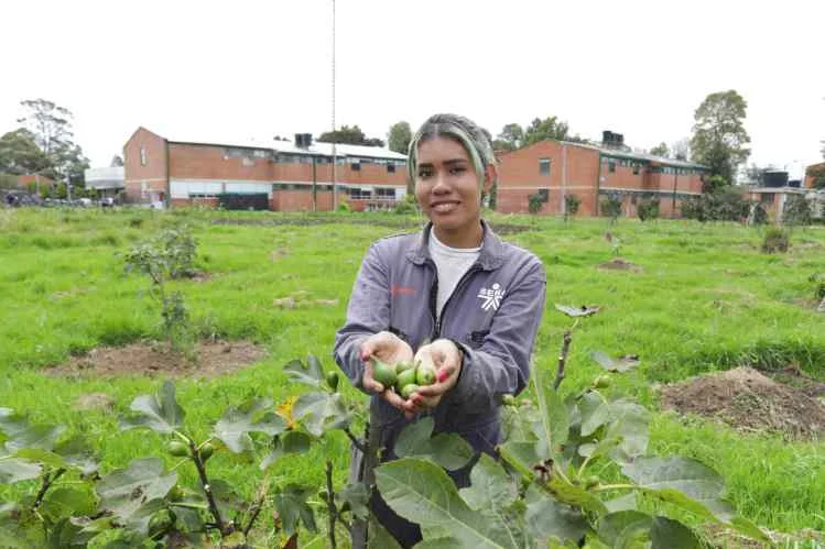 El SENA apoya al sector Agro con la nueva convocatoria de formación presencial