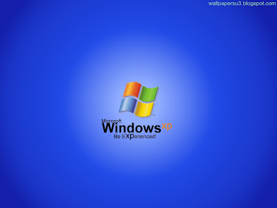 Windows XP Normal Resolution Wallpaper 3