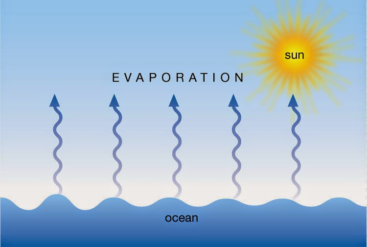 Faktor Yang Memengaruhi Evaporasi