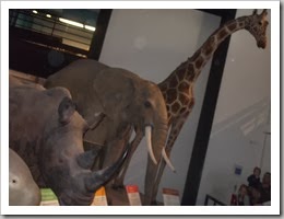 DSCF7770