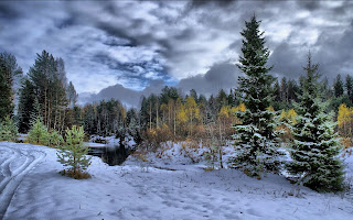 Bosque Nevado,خلفيات،عالية الدقة،hd ،كمبيوتر،تابلت،computer, tablet, Backgrounds,