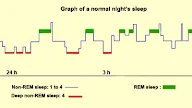 5 Hoak How To Go Into Deep Sleep Free