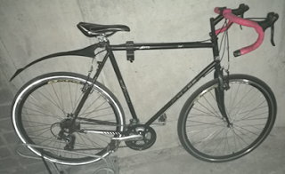 Stolen Bicycle - Force MTA