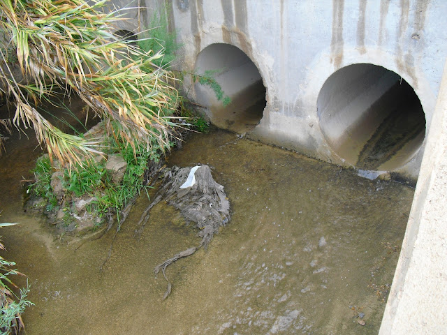 Facsa-Mazarron-depuradora-Moreras-rambla-agua residual