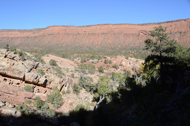 Comb Ridge is a flat wall