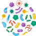 Cultivation Media Bacteria Part- 2