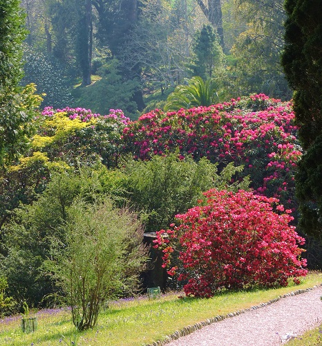 Glendurgen gardens in the summer