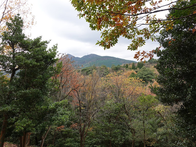 弥生の森の遊歩道　孝霊山