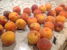 20 +  peaches on the counter