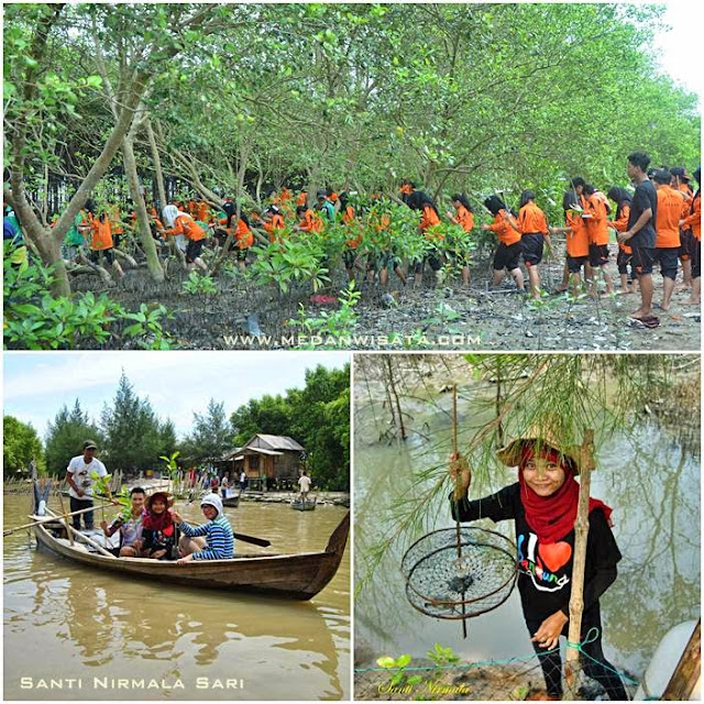 Wisata Mangrove Terpadu di Kampoeng Nipah Sumatera Utara