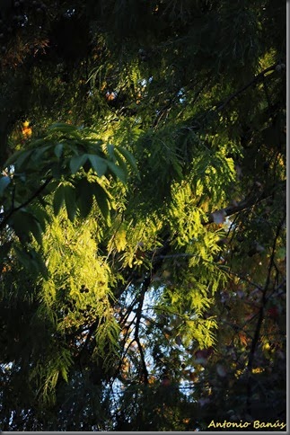 14_DSC8692X1