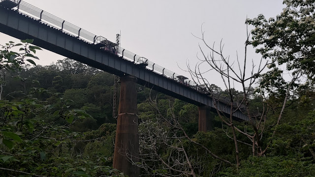 舊鐵道自行車的路線 - 龍騰斷橋