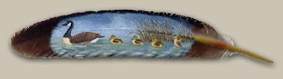 Feather Paintings (21) 4