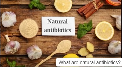 What are natural antibiotics?