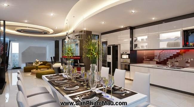 Biệt thự vườn phố của chủ nhân cá tính-6