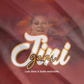 AUDIO: Lulu Diva Ft Dulla Makabila  - Jini Gani  - Download Mp3 