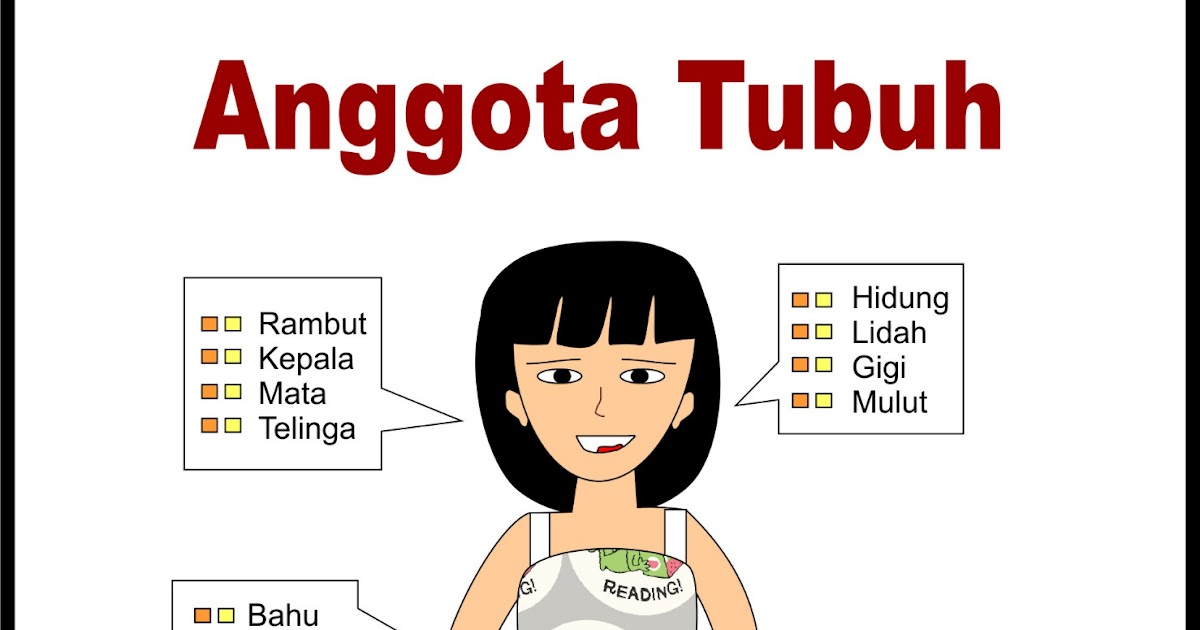 Gambar Animasi Anggota Tubuh Terlengkap Dan Terupdate 