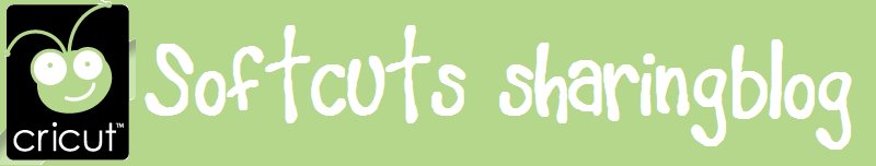 Cricut Softcuts