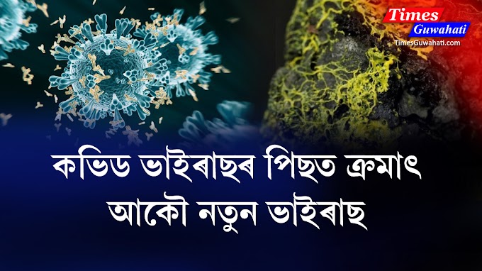 Black fungus, white fungus ৰ লগতে আকৌ দেখা দিছে মাৰাত্মক হালধীয়া ভেঁকুৰে