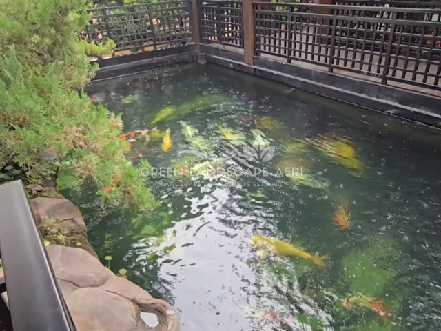 Tukang Kolam Koi Sukoharjo - Pembuatan Kolam Minimalis Berkualitas Tukang Kolam Koi Sukoharjo - Pembuatan Kolam Minimalis Berkualitas