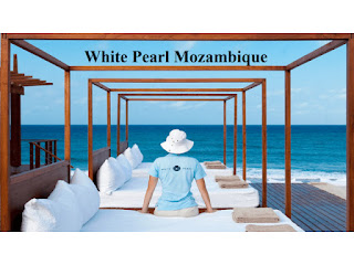 Vaga Para Controlador de Estoque e Custos (white pearl Mocambique)