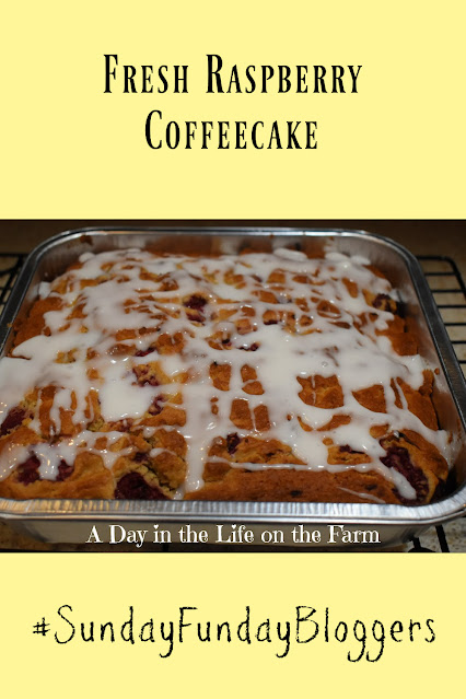 Raspberry Coffeecake pin