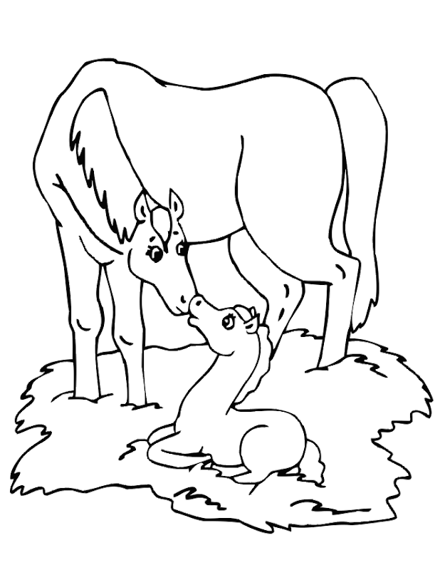 horses printable coloring pages title=
