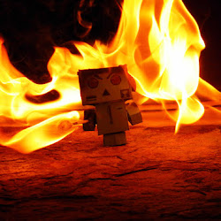 Wallpaper Danbo @ digaleri.com