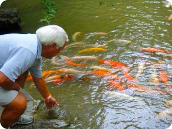 Paul with Koi