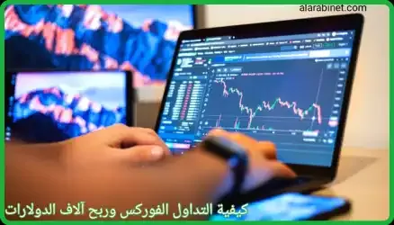 كيفية التداول بالفوركس للمبتدئين وربح آلاف الدولارات