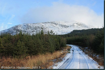 6 Galloway-Forest-Park