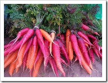 rainbow carrots taliaferro farm rhinebeck farmers market