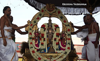Aani,Dharmadhipeedam,Sri Theliya Singar, Yoga Narasimhar,Brahmotsavam ,Purappadu,Video, Divya Prabhandam,Sri Parthasarathy Perumal, Triplicane,Thiruvallikeni,Utsavam,