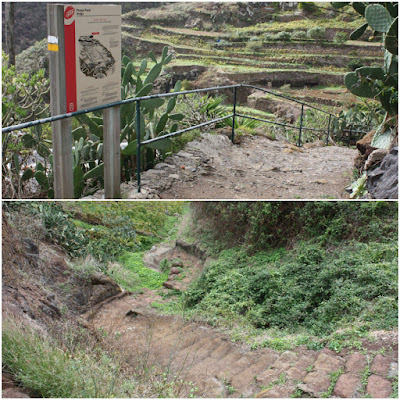 PR-TF-11 LA PUNTA DEL HIDALGO A LA CRUZ DEL CARMEN, escaleras en dirección al Batán de Arriba y Barranco del Río