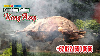 Kambing Guling Malangbong,