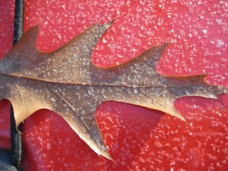 Frost on the kayak