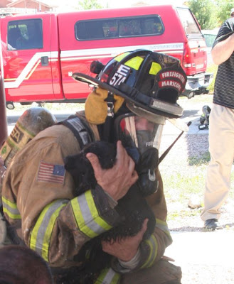 Animals Being Rescued Seen On www.coolpicturegallery.us