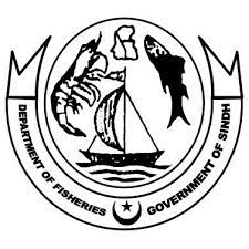 Job Available At Fisheries Department Sindh 2023