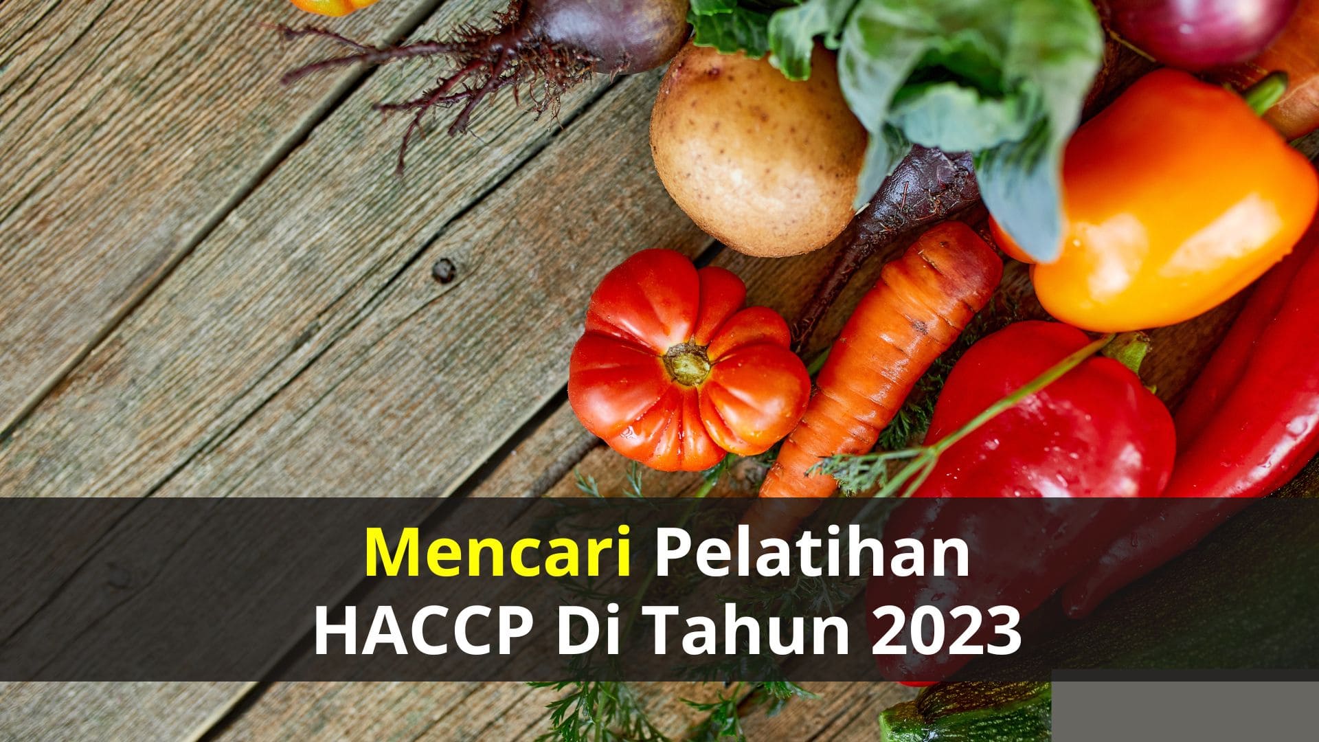 Mencari Pelatihan HACCP di Tahun 2023