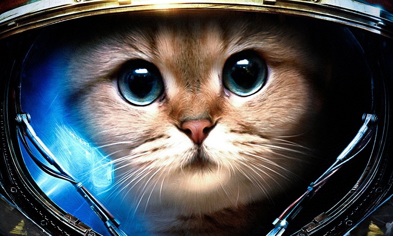 Kisah Tragis Kucing Astronot Pertama yang Dilupakan Dunia