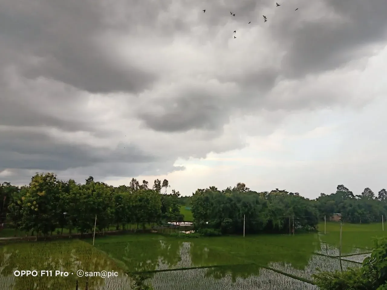 weather today