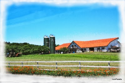 夏の風景