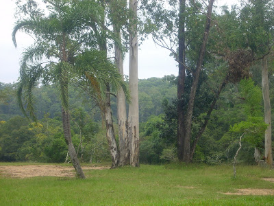 Parque Saint Hilaire