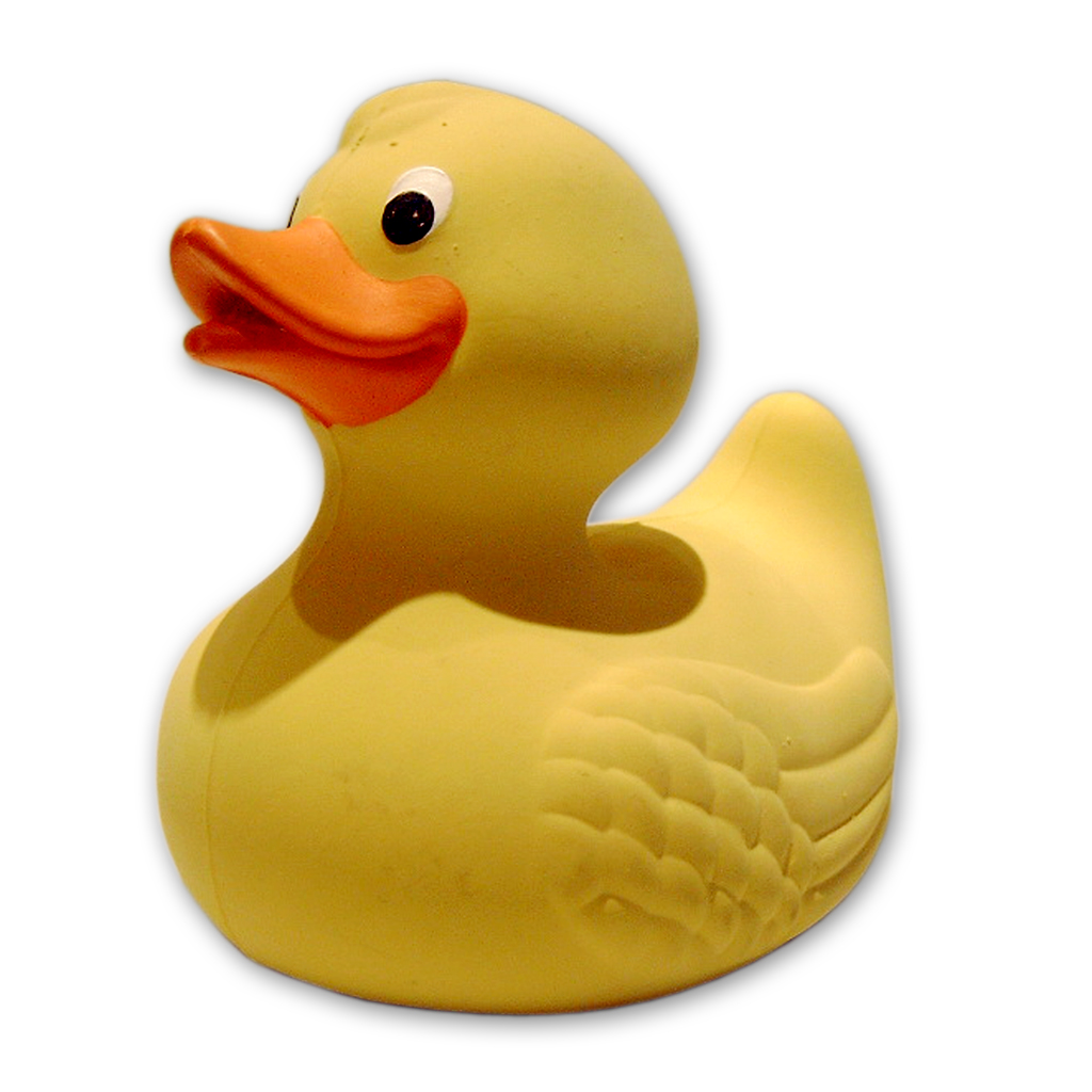 Rubber Duckie s Birthday