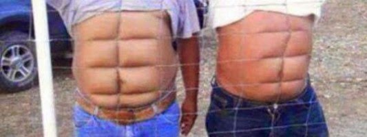 The Truth About Six Pack Abs