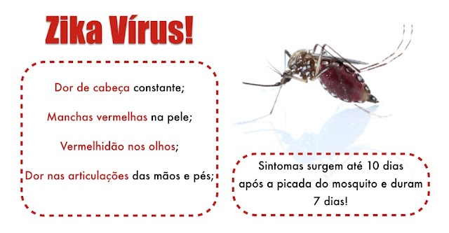 Ceará investiga 134 casos suspeitos de microcefalia relacionados ao zika vírus