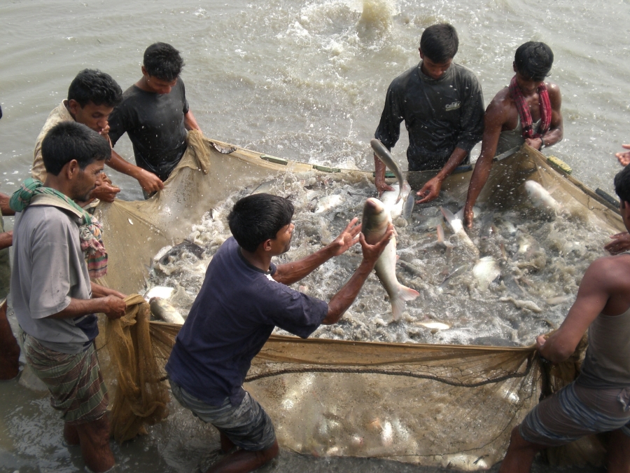 ছবি