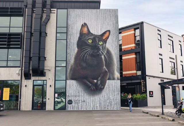 cat street art