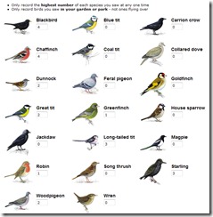 Birds