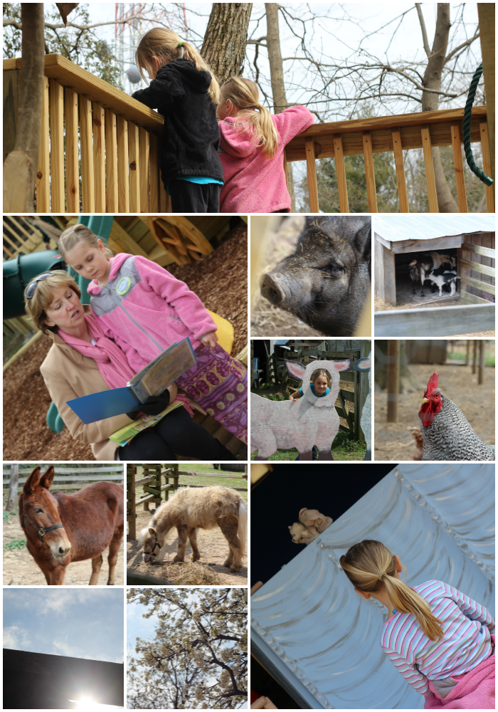 PicMonkey Collageburritt